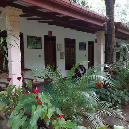 Sigiri Jungle Villa สิกิริยา ภายนอก รูปภาพ