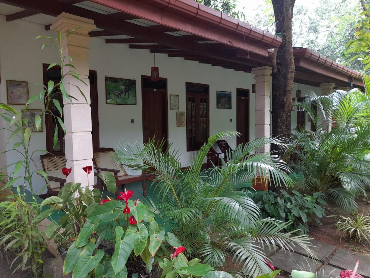 Sigiri Jungle Villa สิกิริยา ภายนอก รูปภาพ