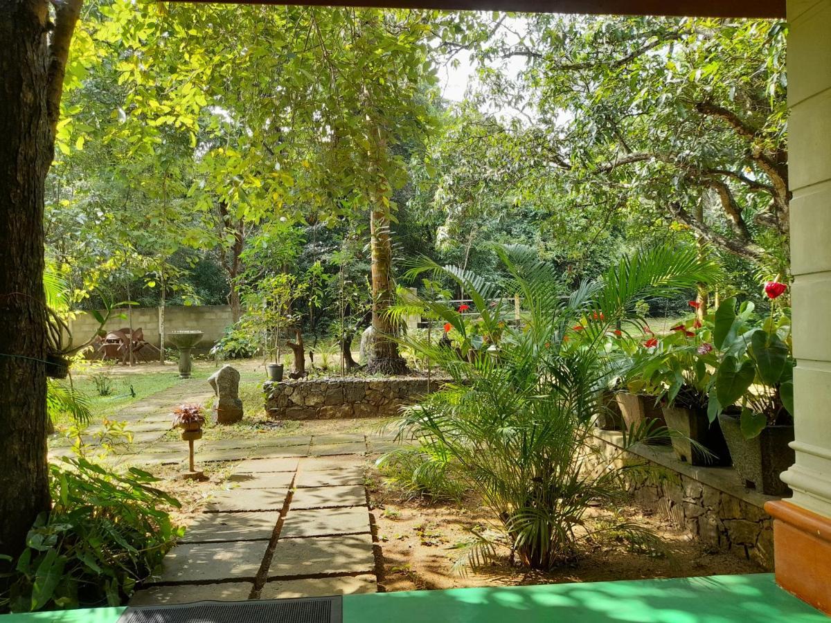 Sigiri Jungle Villa สิกิริยา ภายนอก รูปภาพ