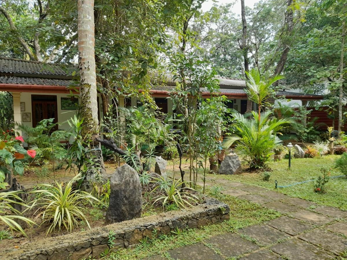 Sigiri Jungle Villa สิกิริยา ภายนอก รูปภาพ