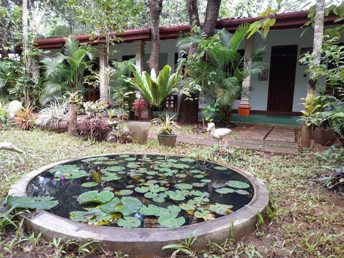 Sigiri Jungle Villa สิกิริยา ภายนอก รูปภาพ