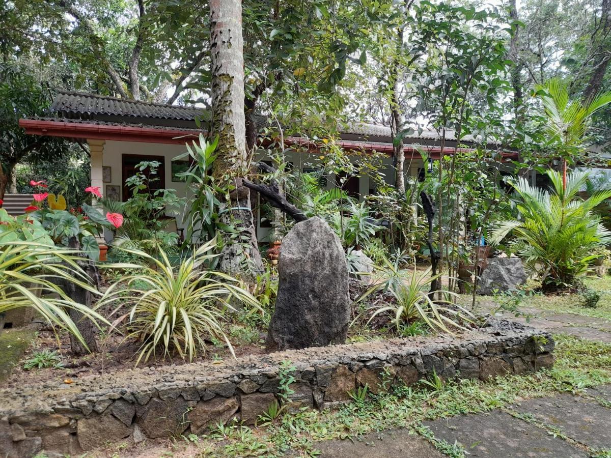 Sigiri Jungle Villa สิกิริยา ภายนอก รูปภาพ