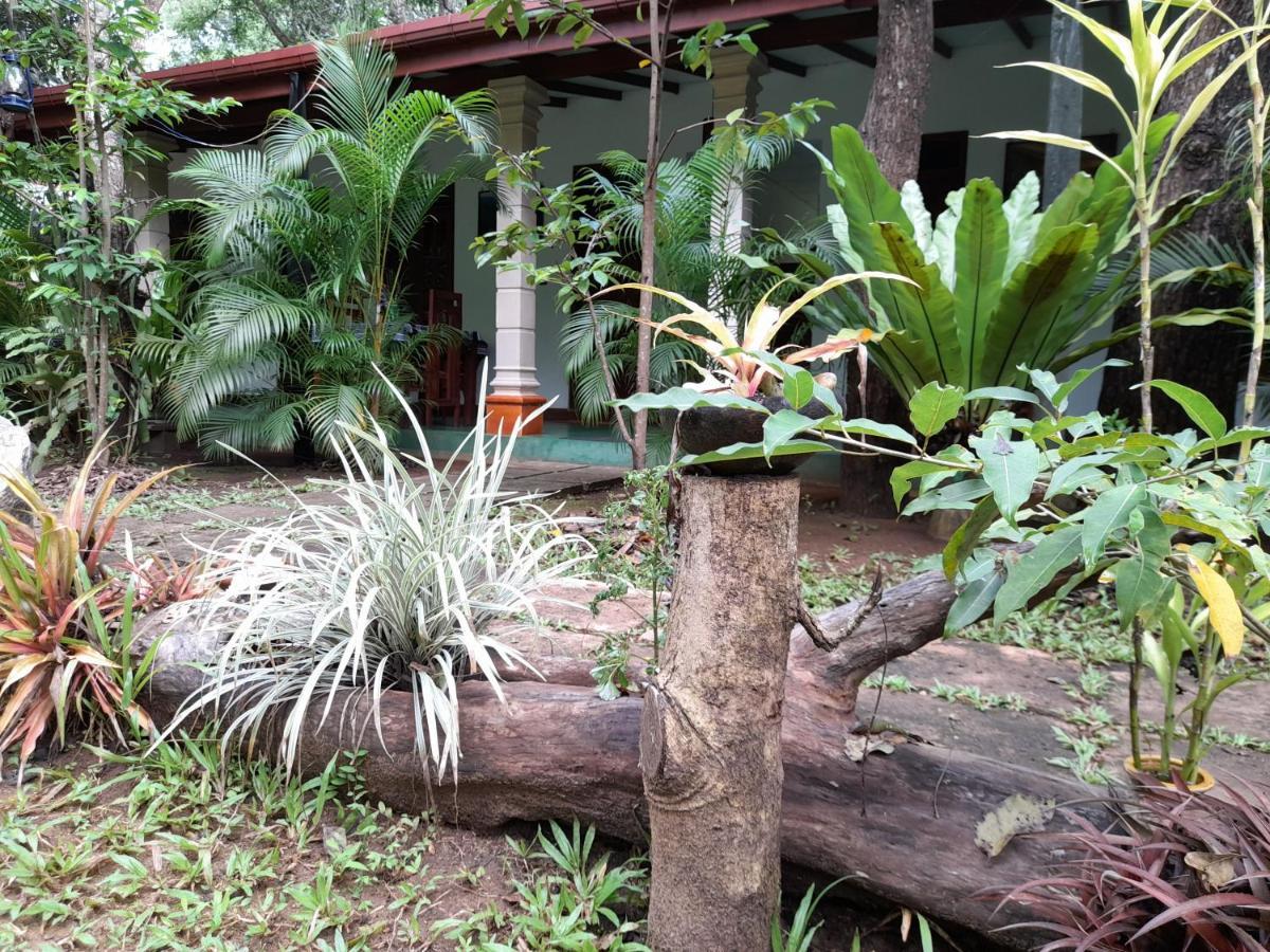 Sigiri Jungle Villa สิกิริยา ภายนอก รูปภาพ