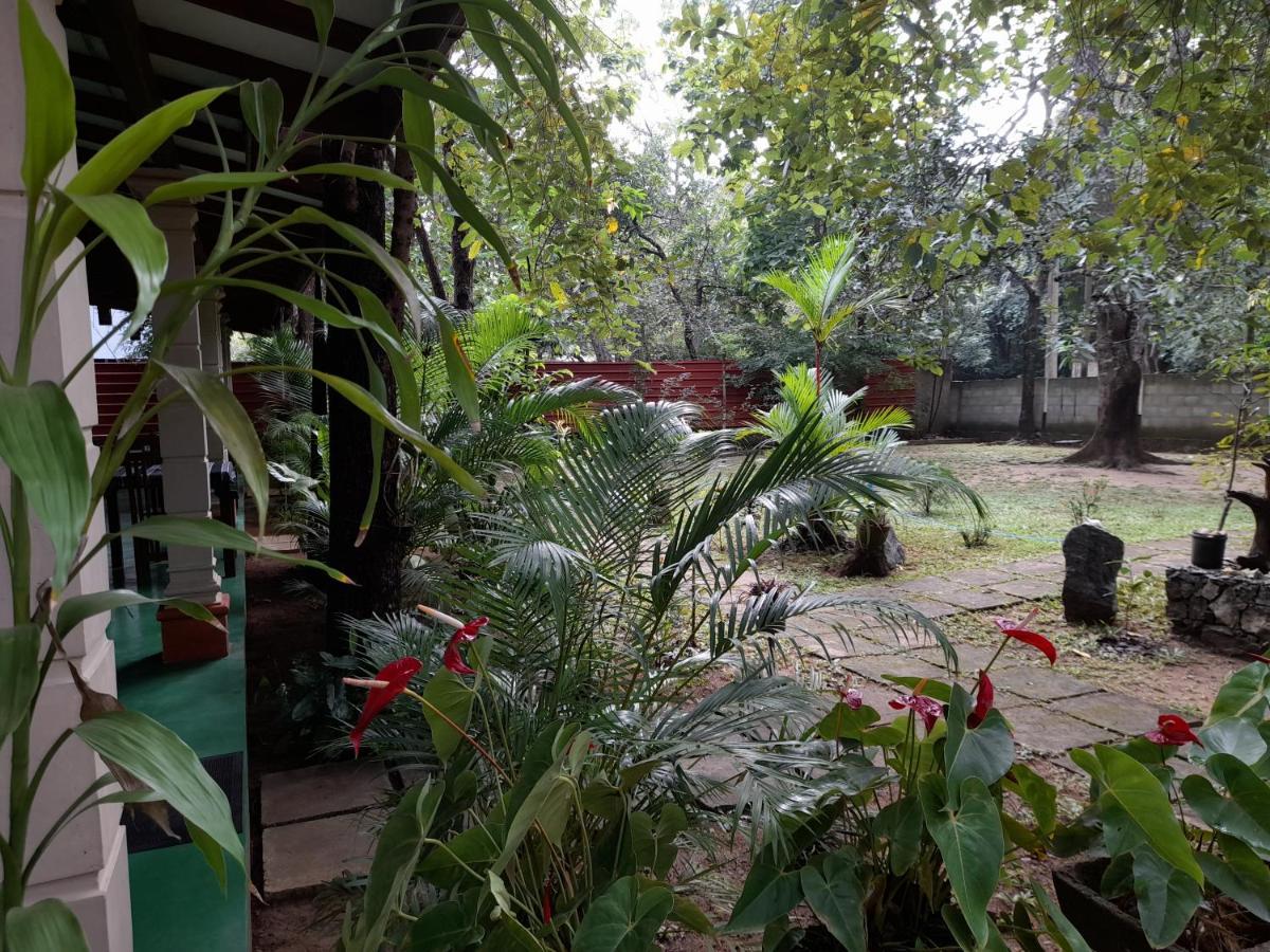 Sigiri Jungle Villa สิกิริยา ภายนอก รูปภาพ