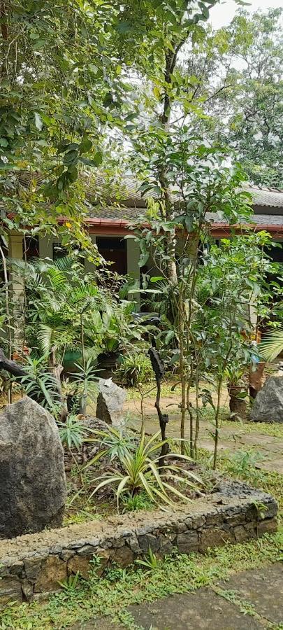 Sigiri Jungle Villa สิกิริยา ภายนอก รูปภาพ