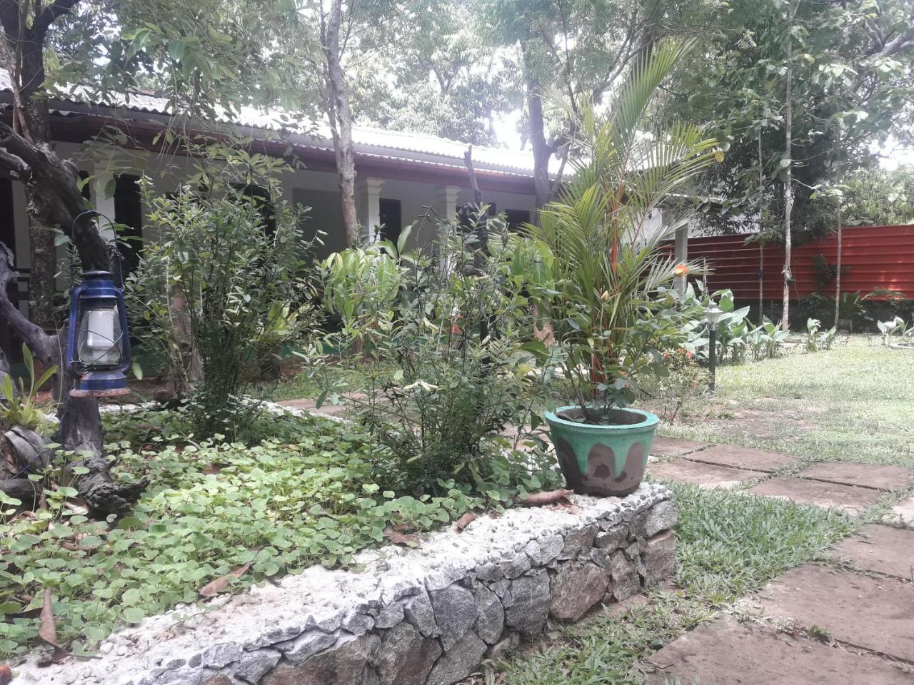 Sigiri Jungle Villa สิกิริยา ภายนอก รูปภาพ